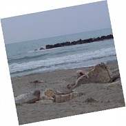 Náhodná fotografie