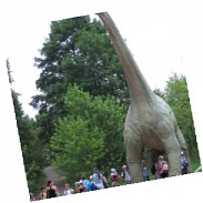 Náhodná fotografie