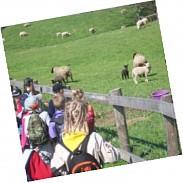 Náhodná fotografie