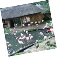 Náhodná fotografie