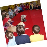 Náhodná fotografie