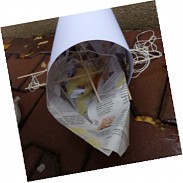 Náhodná fotografie