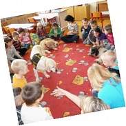 Náhodná fotografie