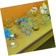 Náhodná fotografie