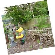 Náhodná fotografie