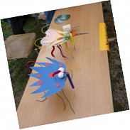 Náhodná fotografie