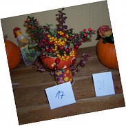 Náhodná fotografie