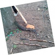 Náhodná fotografie