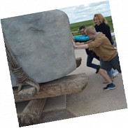 Náhodná fotografie