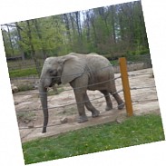 Náhodná fotografie