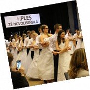 Náhodná fotografie