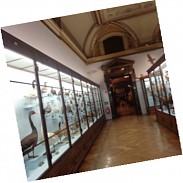 Náhodná fotografie