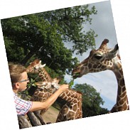 Náhodná fotografie