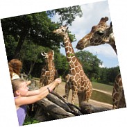 Náhodná fotografie