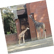 Náhodná fotografie