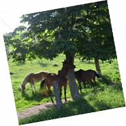 Náhodná fotografie