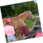 Náhodná fotografie