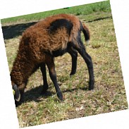 Náhodná fotografie