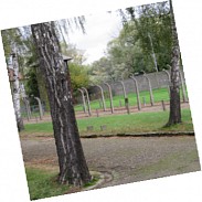 Náhodná fotografie