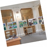 Náhodná fotografie