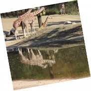 Náhodná fotografie