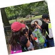 Náhodná fotografie