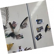 Náhodná fotografie