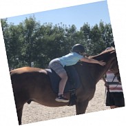 Náhodná fotografie