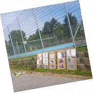 Náhodná fotografie