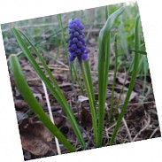 Náhodná fotografie