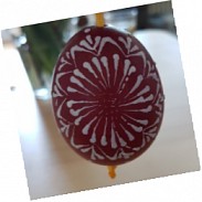 Náhodná fotografie