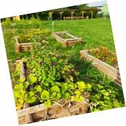 Náhodná fotografie