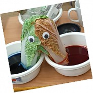 Náhodná fotografie