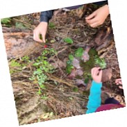 Náhodná fotografie