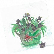 Náhodná fotografie