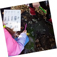 Náhodná fotografie