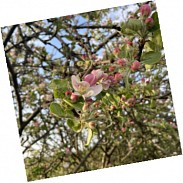 Náhodná fotografie