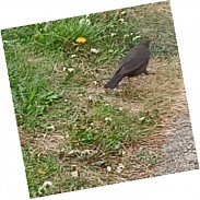 Náhodná fotografie