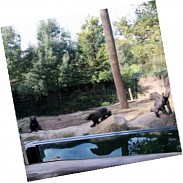 Náhodná fotografie