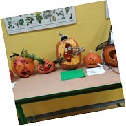 Náhodná fotografie