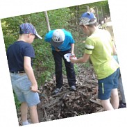 Náhodná fotografie